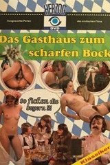 Das Gasthaus Zum Scharfen Bock Also Known As Porno Kneipe