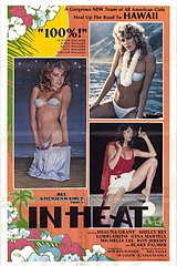 All American Girls 2: In Heat